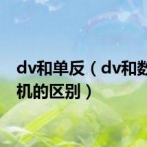 dv和单反(dv和数码相机的区别)
