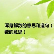 浑身解数的意思和造句(浑身解数的意思)