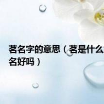 茗名字的意思(茗是什么意思起名好吗)