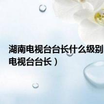 湖南电视台台长什么级别(湖南电视台台长)