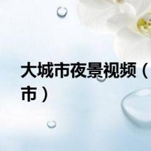 大城市夜景视频(大城市)