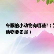 冬眠的小动物有哪些?(为什么动物要冬眠)