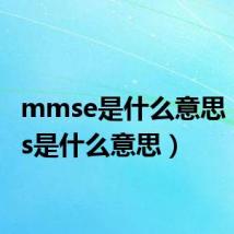 mmse是什么意思(mms是什么意思)