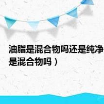 油脂是混合物吗还是纯净(油脂是混合物吗)