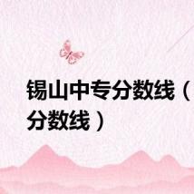锡山中专分数线（中专分数线）