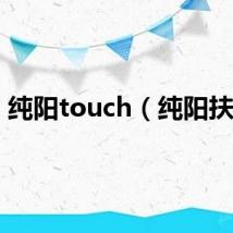 纯阳touch（纯阳扶摇）