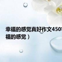 幸福的感觉真好作文450字(幸福的感觉)