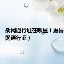 战网通行证在哪里(魔兽世界战网通行证)