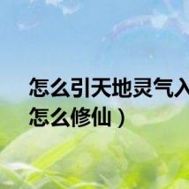 怎么引天地灵气入身（怎么修仙）