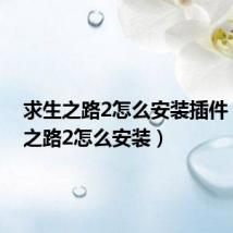 求生之路2怎么安装插件(求生之路2怎么安装)