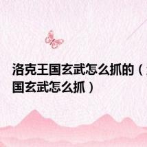 洛克王国玄武怎么抓的(洛克王国玄武怎么抓)
