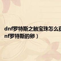 dnf罗特斯之触宝珠怎么获得(dnf罗特斯的卵)