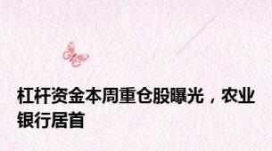 杠杆资金本周重仓股曝光，农业银行居首