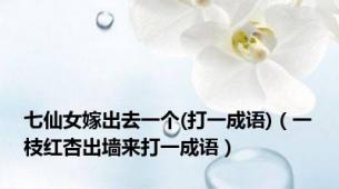 七仙女嫁出去一个(打一成语)（一枝红杏出墙来打一成语）