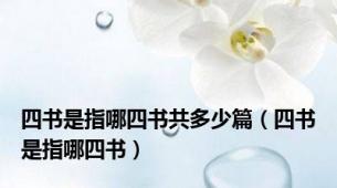 四书是指哪四书共多少篇（四书是指哪四书）