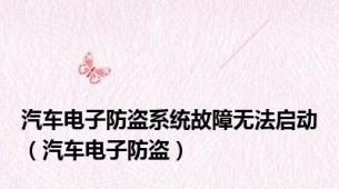 汽车电子防盗系统故障无法启动（汽车电子防盗）