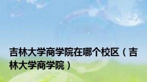 吉林大学商学院在哪个校区（吉林大学商学院）