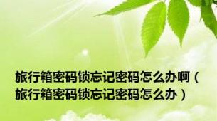 旅行箱密码锁忘记密码怎么办啊（旅行箱密码锁忘记密码怎么办）
