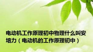 电动机工作原理初中物理什么叫安培力（电动机的工作原理初中）
