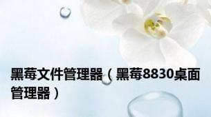 黑莓文件管理器（黑莓8830桌面管理器）