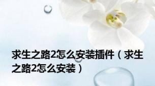 求生之路2怎么安装插件（求生之路2怎么安装）