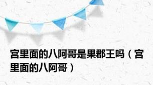 宫里面的八阿哥是果郡王吗（宫里面的八阿哥）