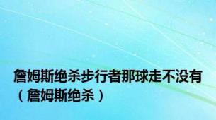 詹姆斯绝杀步行者那球走不没有（詹姆斯绝杀）