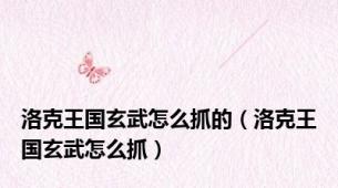 洛克王国玄武怎么抓的（洛克王国玄武怎么抓）