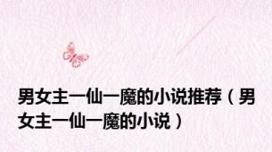 男女主一仙一魔的小说推荐（男女主一仙一魔的小说）