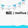 梅花（meihua）