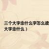 三个大字念什么字怎么读（三个大字念什么）