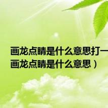 画龙点睛是什么意思打一生肖(画龙点睛是什么意思)