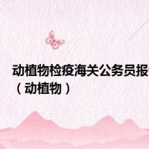 动植物检疫海关公务员报考条件（动植物）