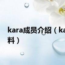 kara成员介绍(kara资料)