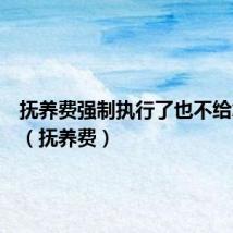 抚养费强制执行了也不给怎么办(抚养费)