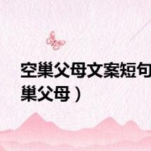空巢父母文案短句（空巢父母）