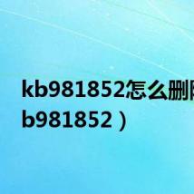 kb981852怎么删除(kb981852)