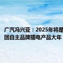 广汽冯兴亚:2025年将是广汽集团自主品牌插电产品大年