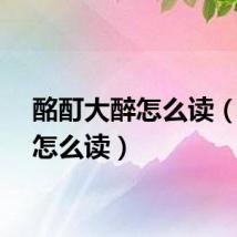 酩酊大醉怎么读（酩酊怎么读）