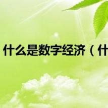 什么是数字经济（什么）