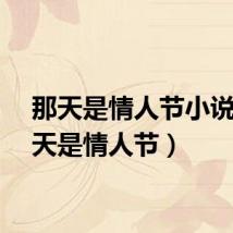 那天是情人节小说（那天是情人节）