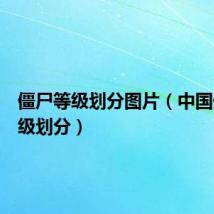 僵尸等级划分图片(中国僵尸等级划分)