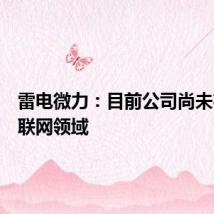 雷电微力:目前公司尚未布局空联网领域