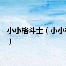 小小格斗士（小小格斗5）