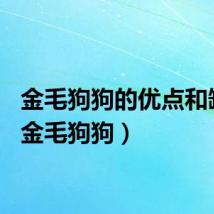 金毛狗狗的优点和缺点（金毛狗狗）