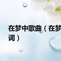 在梦中歌曲（在梦中歌词）