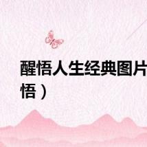 醒悟人生经典图片（醒悟）