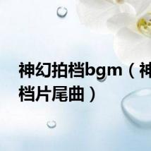 神幻拍档bgm(神幻拍档片尾曲)