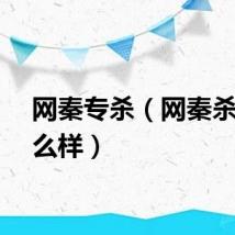 网秦专杀(网秦杀毒怎么样)