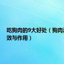 吃狗肉的9大好处(狗肉汤的功效与作用)